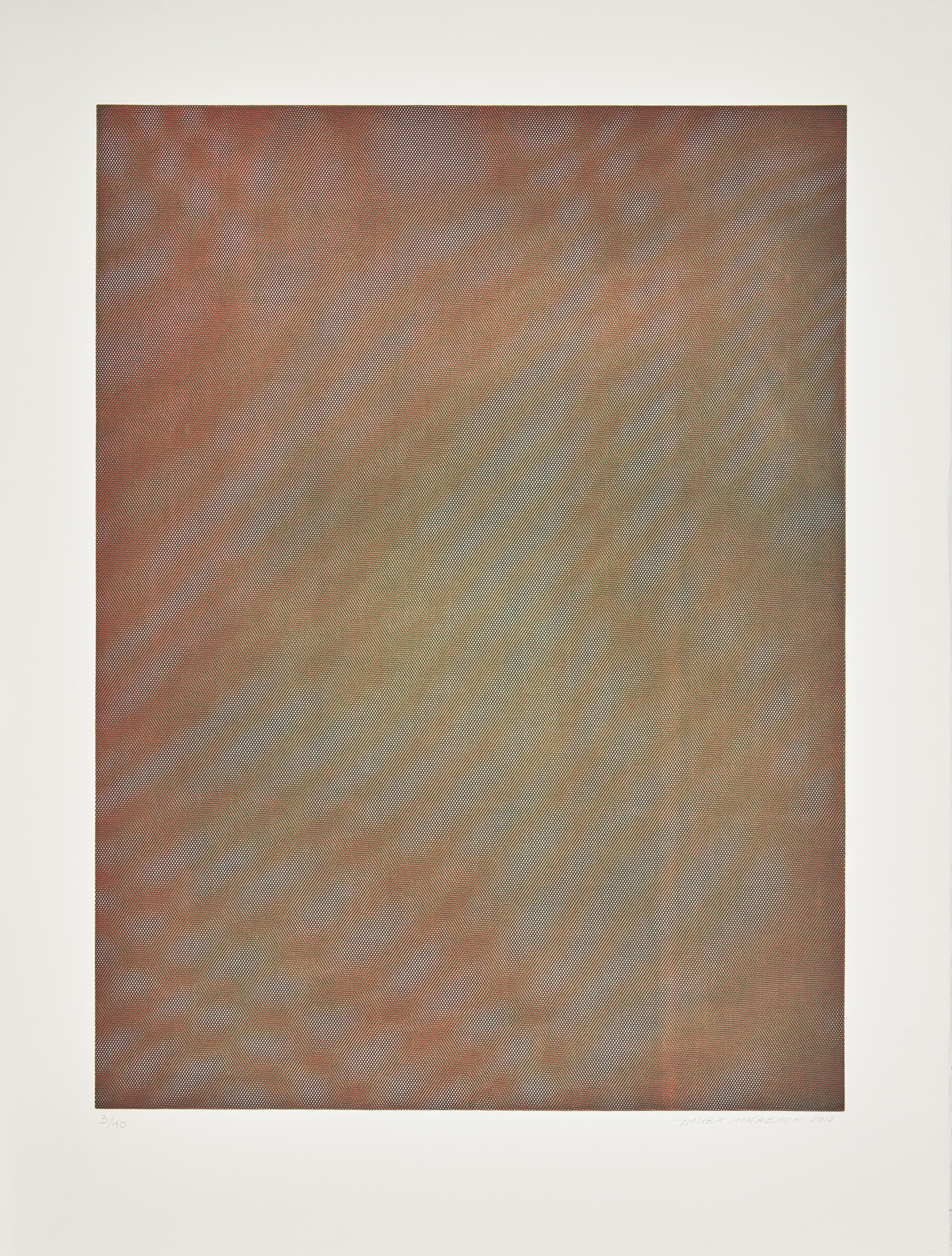 Mesh Moire I , 2012