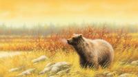 Silver Tip Grizzly