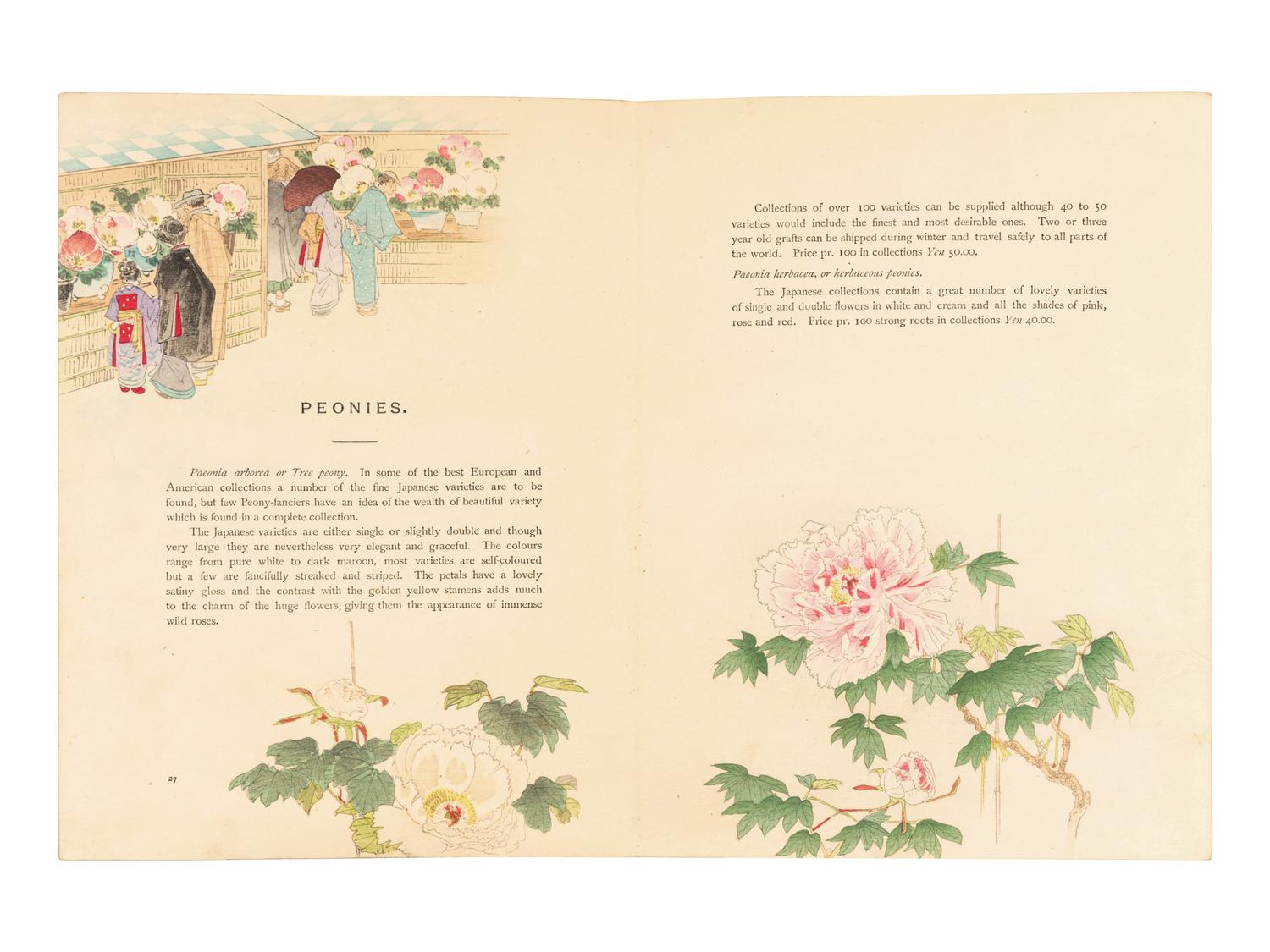 [FLOWERING PLANTS]. A group of 10 works, including: