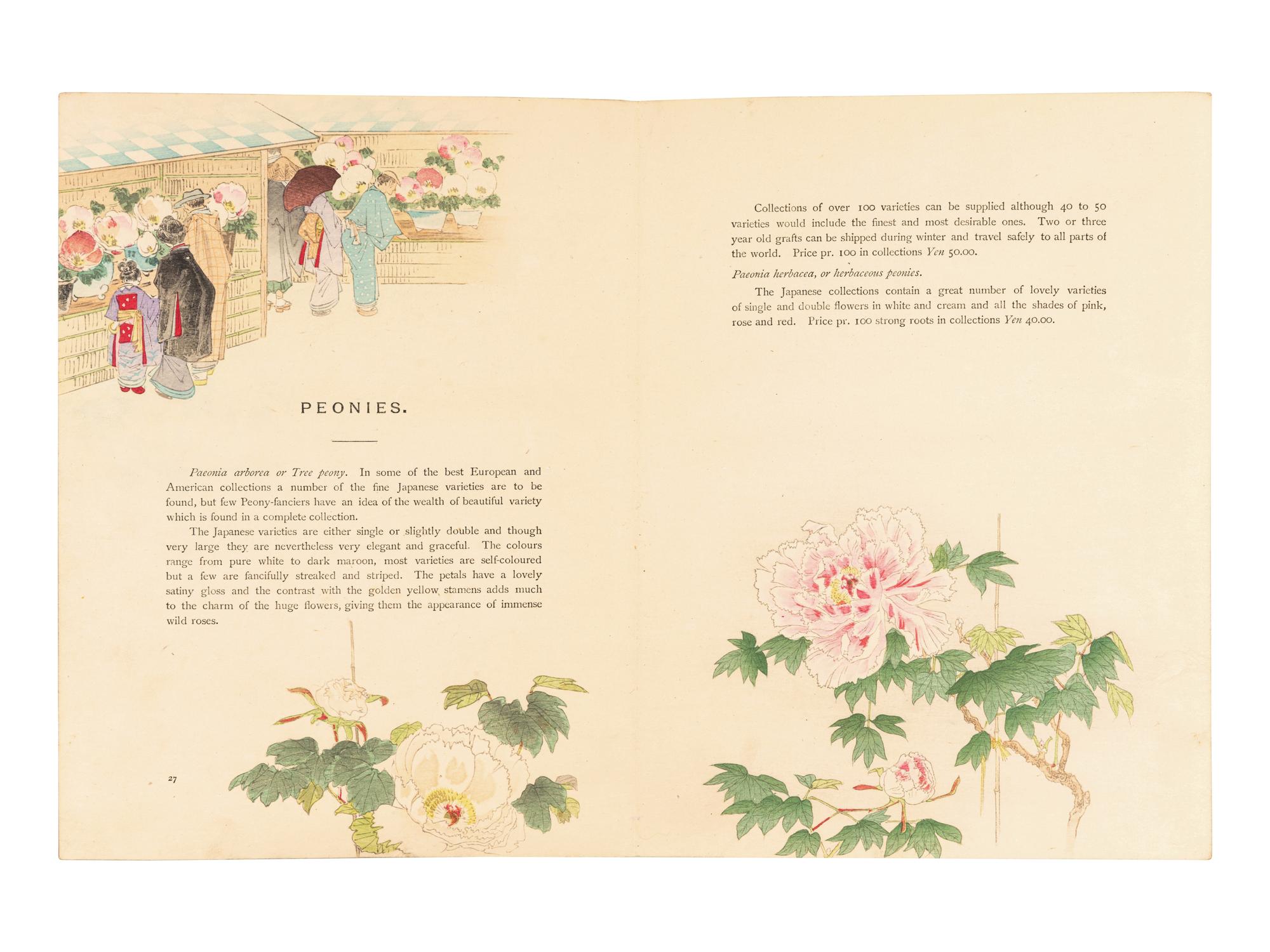 [FLOWERING PLANTS]. A group of 10 works, including: