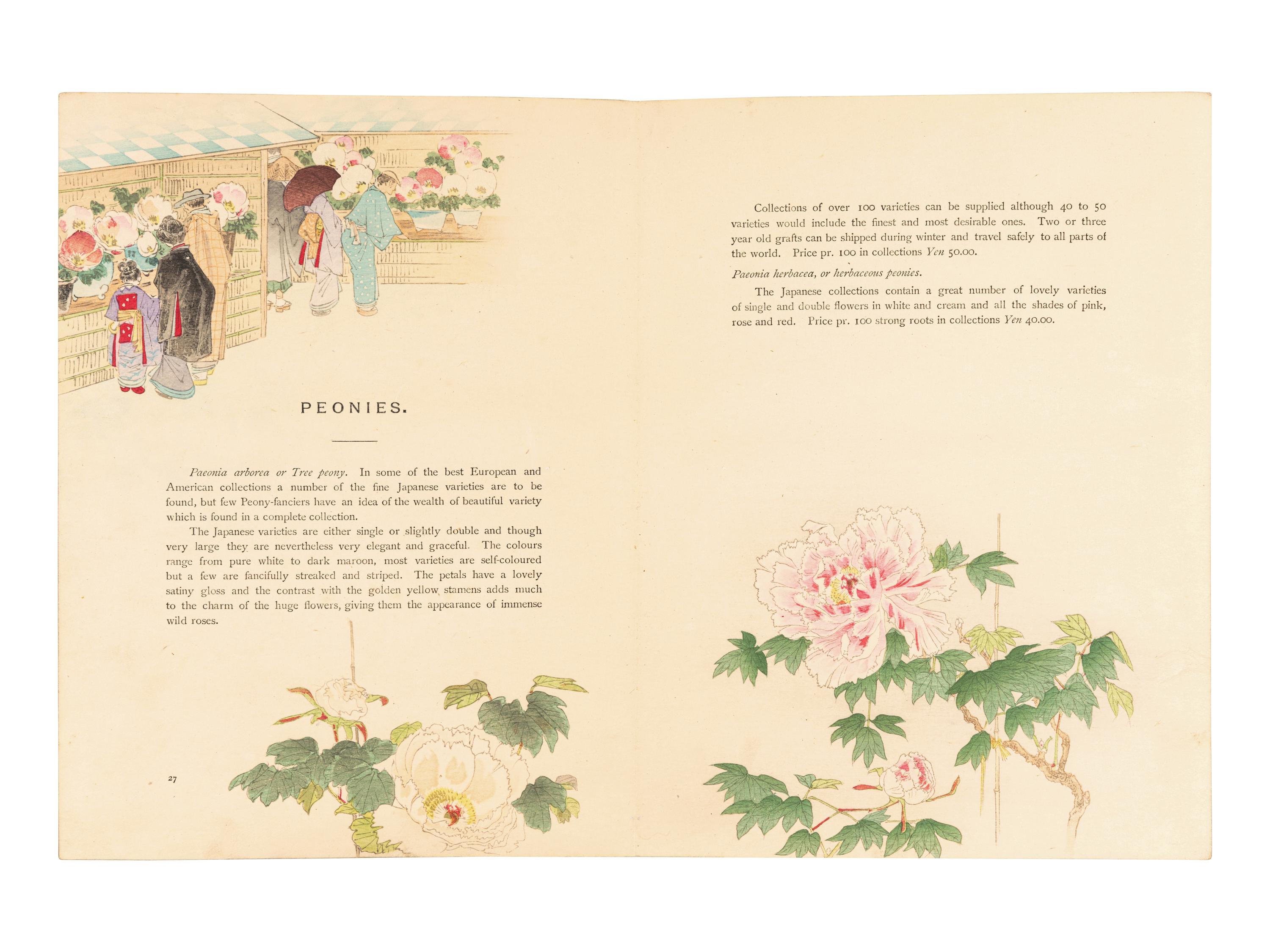 [FLOWERING PLANTS]. A group of 10 works, including: