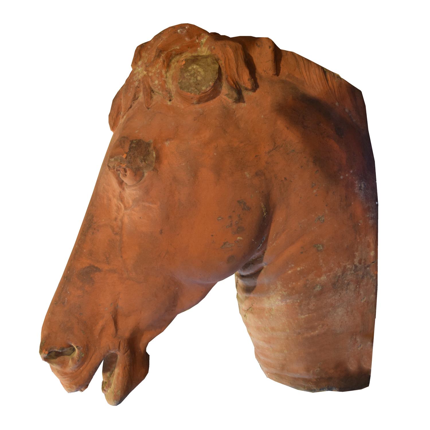A Terra Cotta Horse Head 26" W x 12" D x 24" H — Italy, Early 20th Century