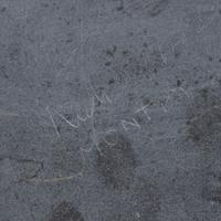 Untitled (Roosters Fighting)