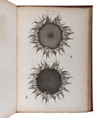 [NATURAL HISTORY]. THORNTON, Robert John (1768-1837). The Philosophy of Botany . London: T. Bensley for the publishers, White, Johnson and Co. ...and the author, [1799]-1810.