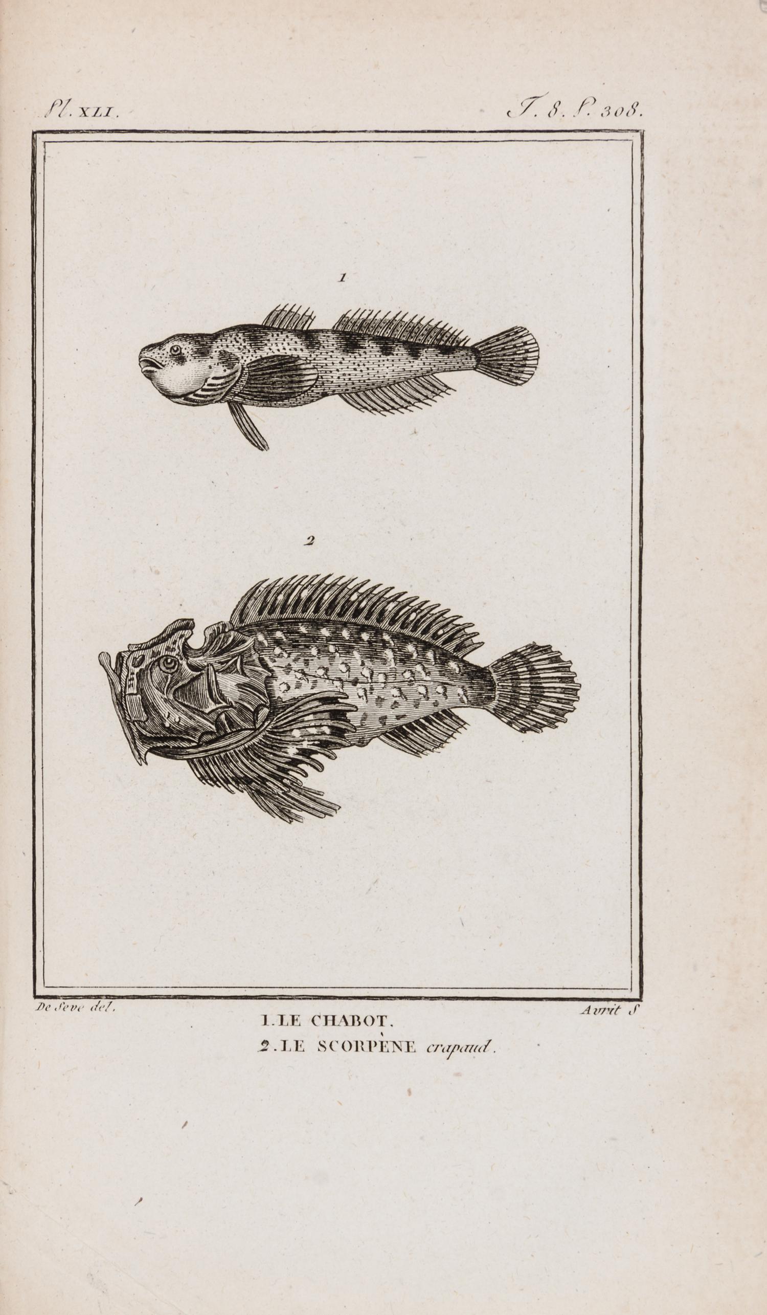 (BUFFON, LECLERC) SONNINI, CHARLES SIGISBERT. Histoire naturelle, generale et particuliere des poissons...Paris, 1803-4. 13 v. 1st ed.