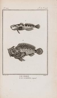 (BUFFON, LECLERC) SONNINI, CHARLES SIGISBERT. Histoire naturelle, generale et particuliere des poissons...Paris, 1803-4. 13 v. 1st ed.
