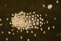 Pavement Evidence-Existence #1 (diptych), 2001, and Genetic Gem VII, 2002
