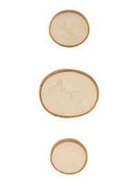 Sixteen Framed Groups of Grand Tour Plaster Intaglios