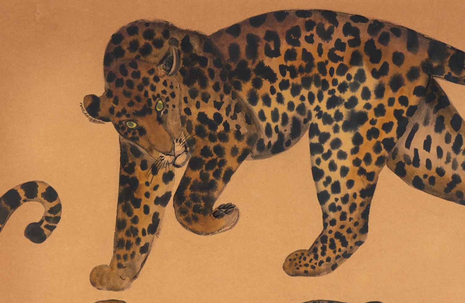 Two Leopards