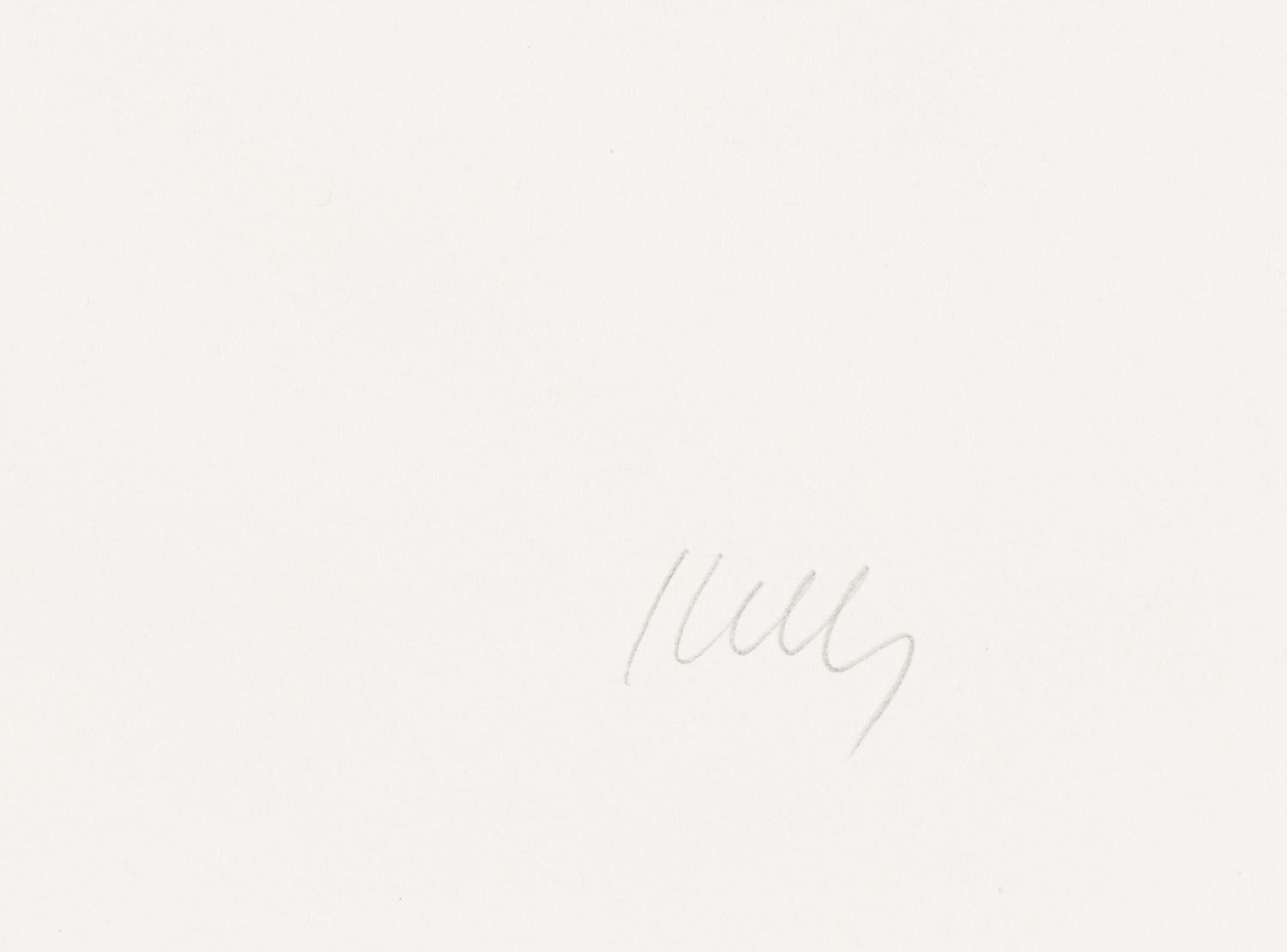 Cyclamen I ( from Suite of Plant Lithographs ), 1964-1965 (published 1966)
