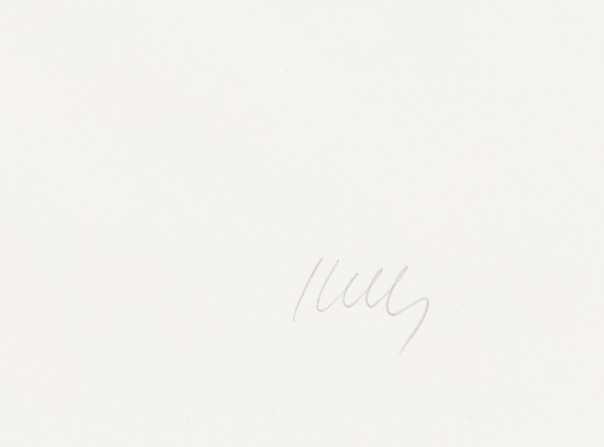 Cyclamen I ( from Suite of Plant Lithographs ), 1964-1965 (published 1966)