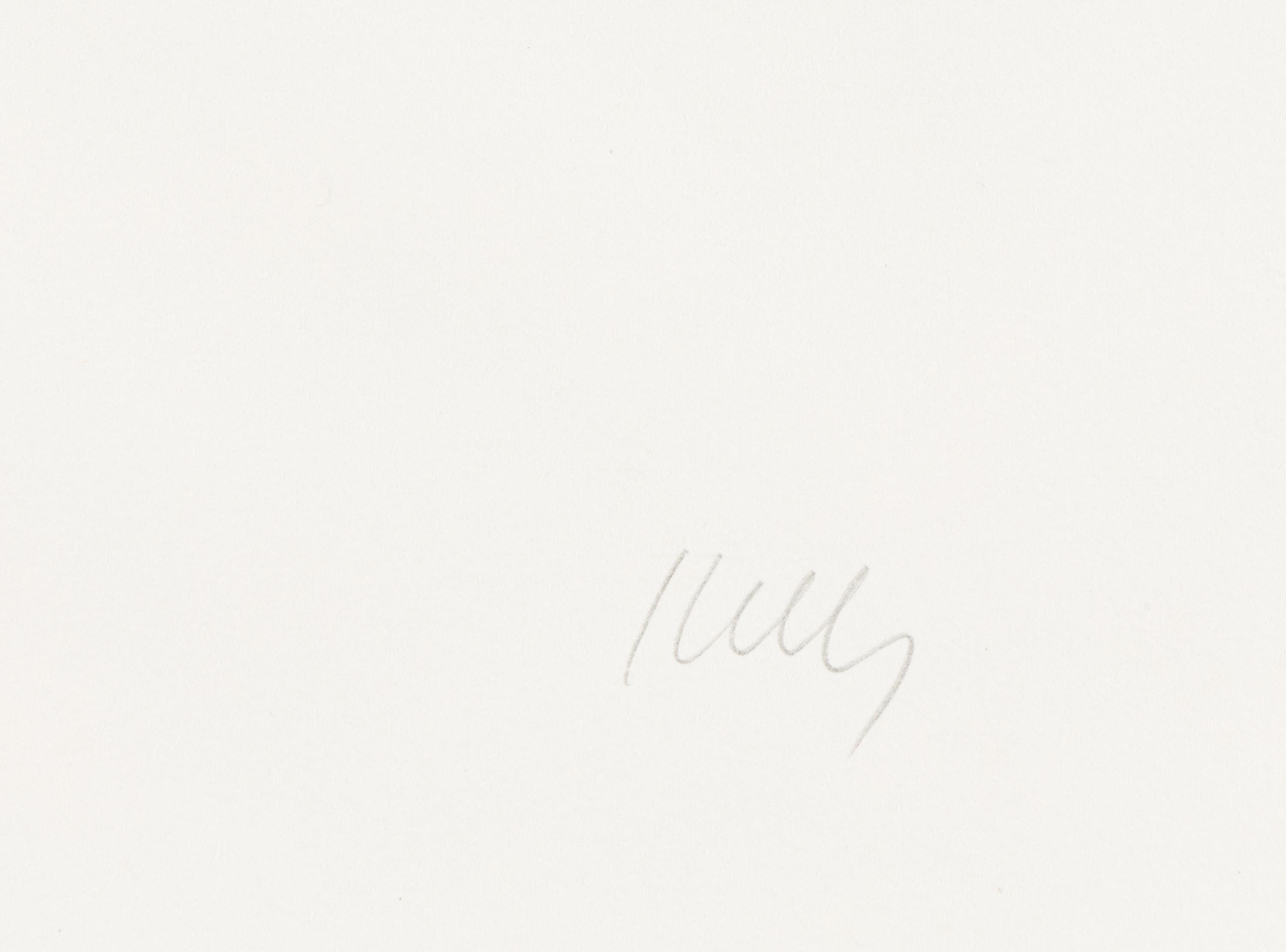 Cyclamen I ( from Suite of Plant Lithographs ), 1964-1965 (published 1966)