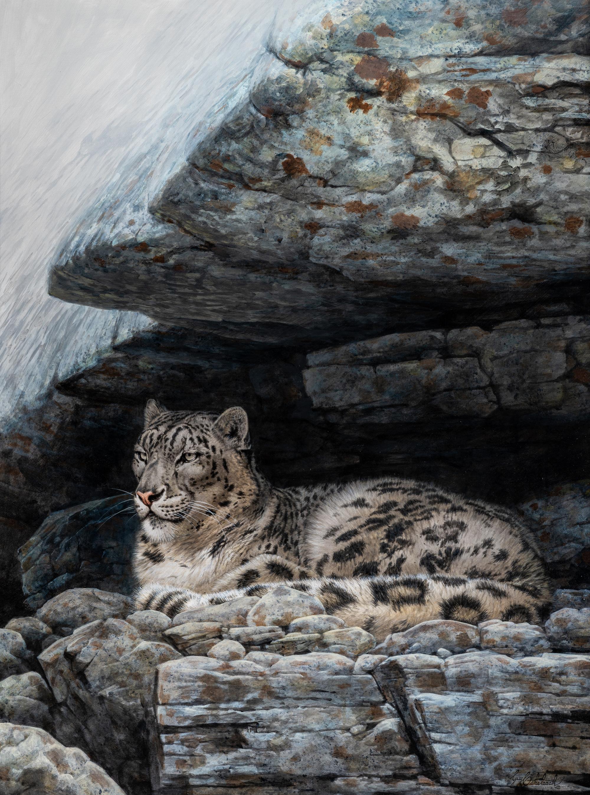 Snow Leopard