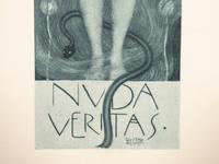 Nuda Veritas (from Das Werk von Gustav Klimt )