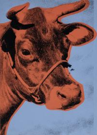 Cow , 1971