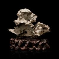 A Ying Scholar's Rock