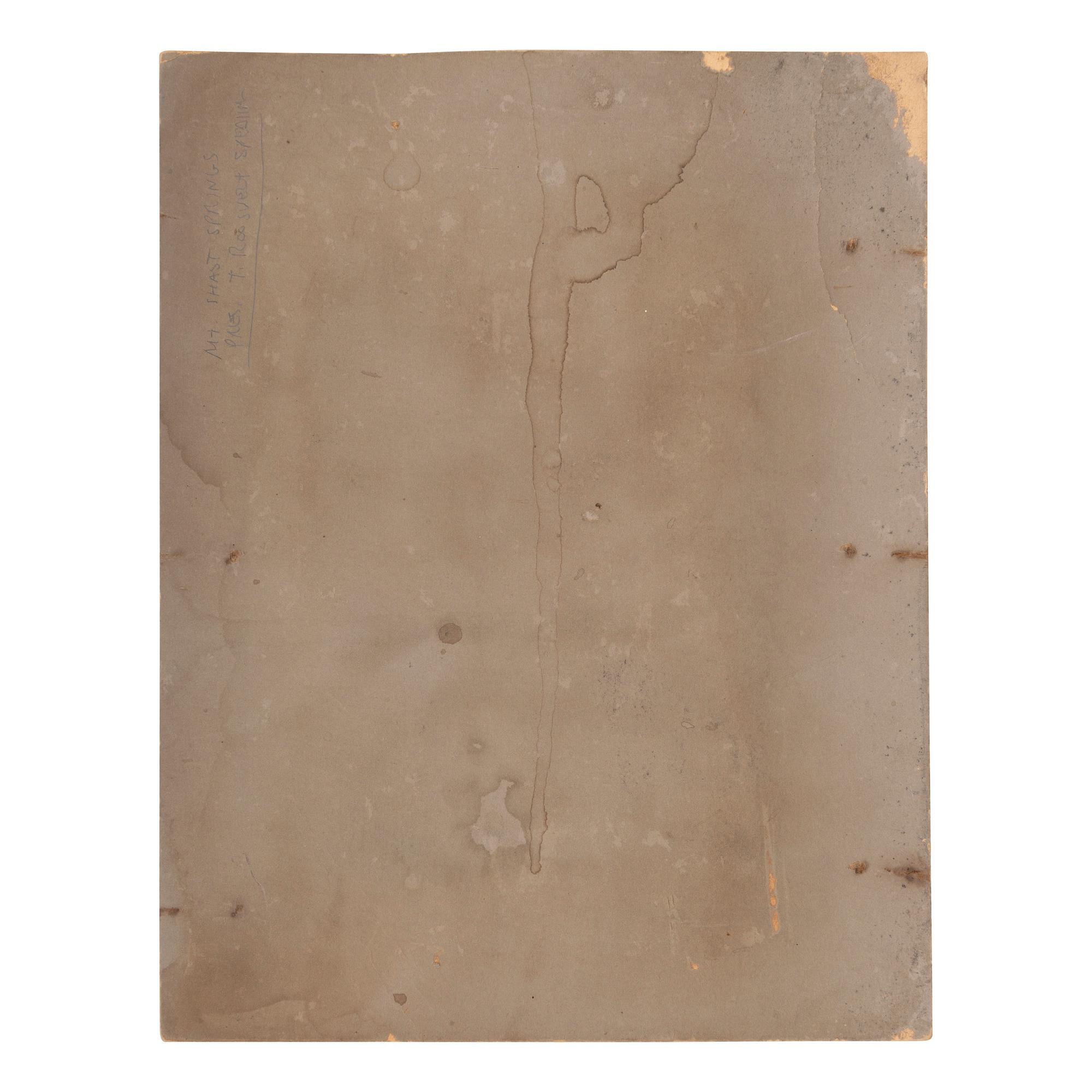 ROOSEVELT, Theodore (1858-1919). Outdoor image of whistle stop tour. [Shasta Springs, CA], n.d.