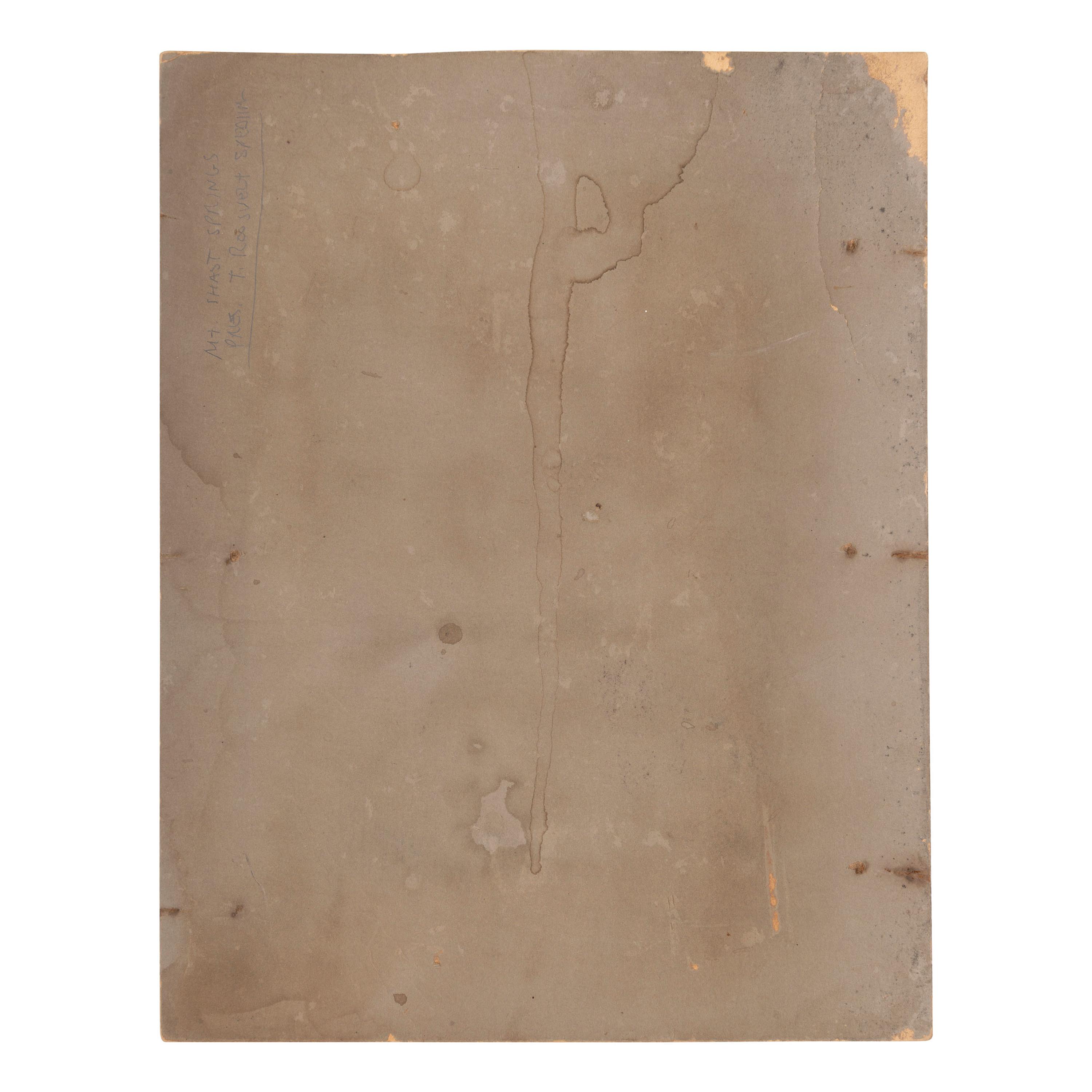 ROOSEVELT, Theodore (1858-1919). Outdoor image of whistle stop tour. [Shasta Springs, CA], n.d.