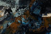 Cosmozoari