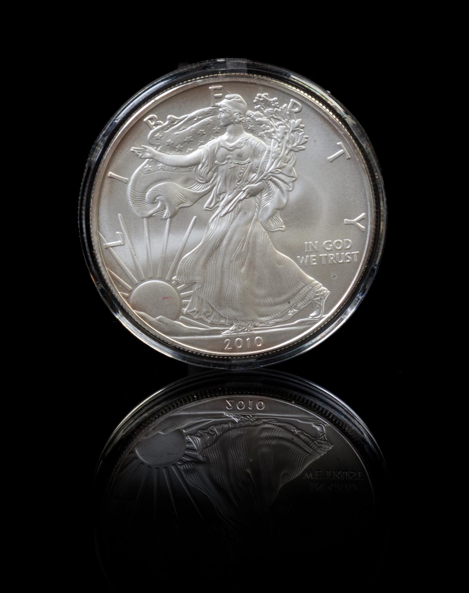 A Collection of 18 United States Silver Eagle $1 Rounds