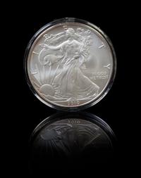 A Collection of 18 United States Silver Eagle $1 Rounds