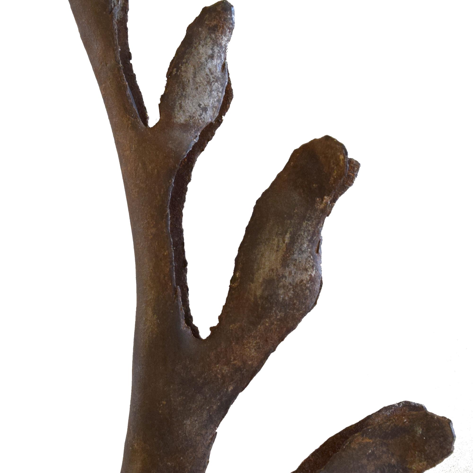 A Wrought Iron Leaf Fragment from the Estate of Jose Thenee 7" W x 2.5" D x 16.5" H — Argentina, 20th Century
