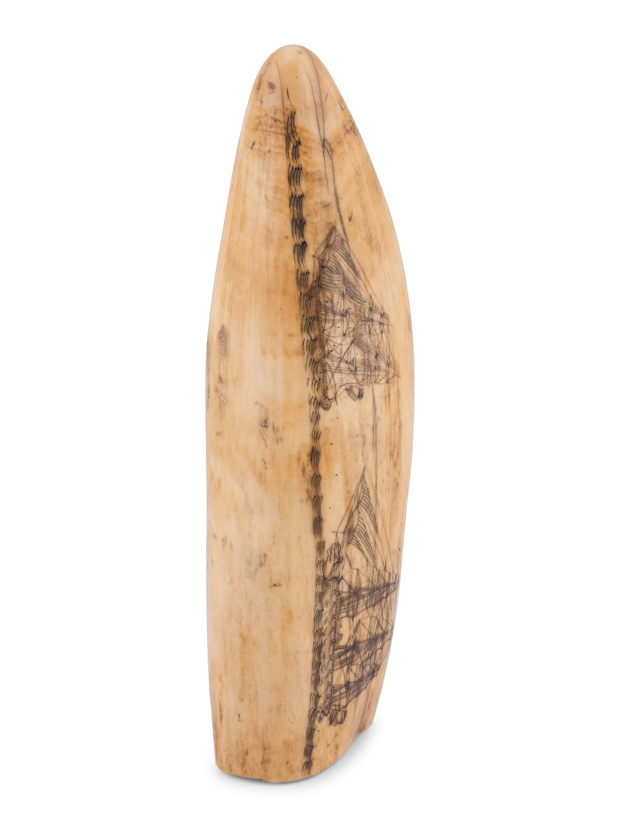 A Scrimshaw Tooth Depicting Two Ships Underway