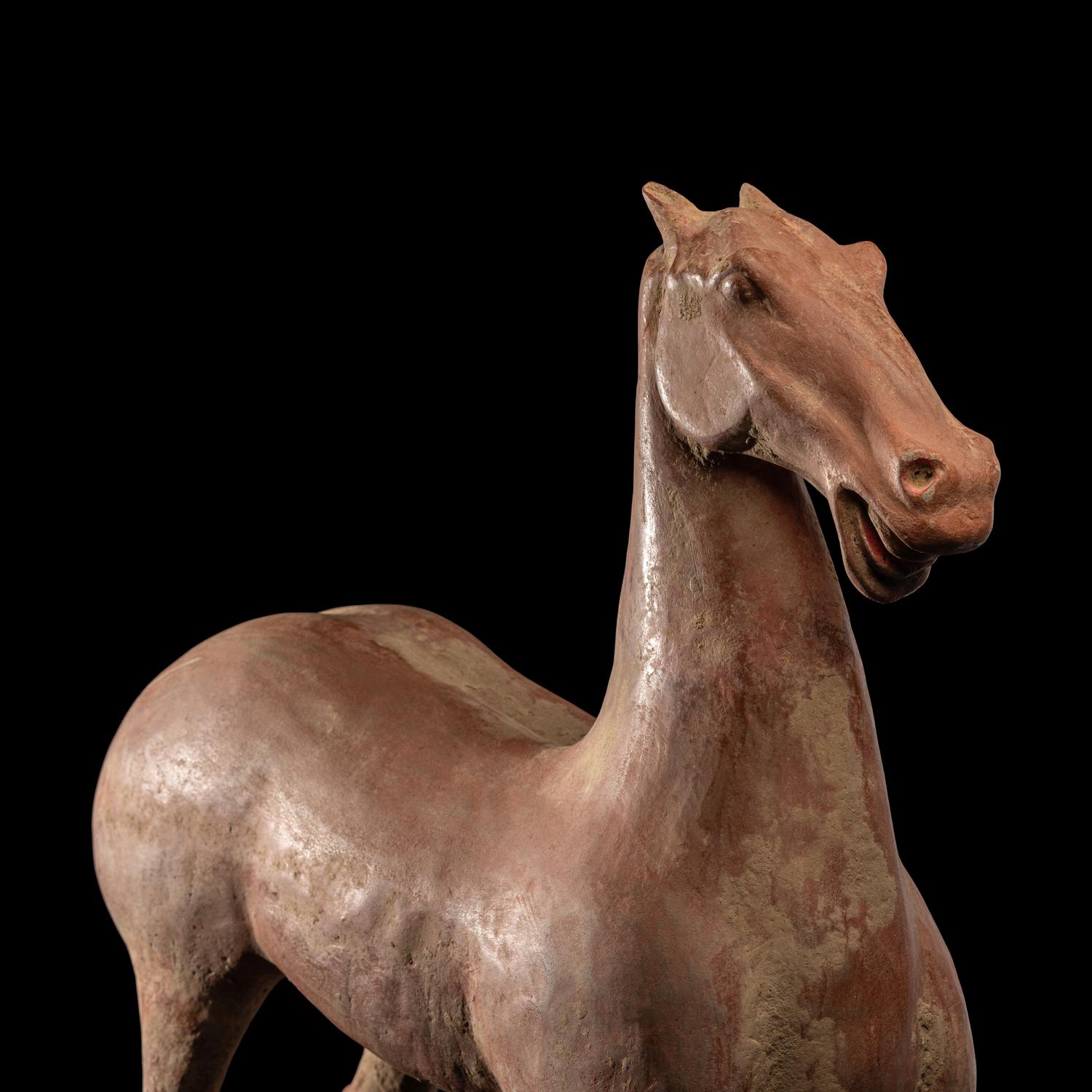 A Han Dynasty Horse