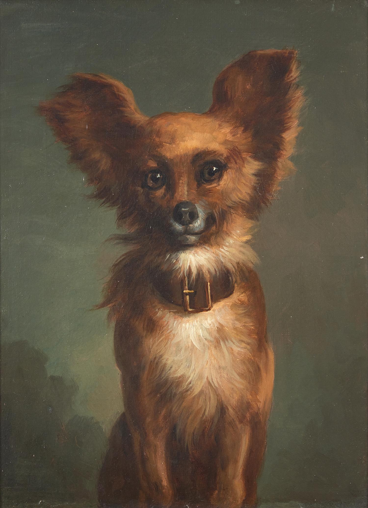 A Papillon
