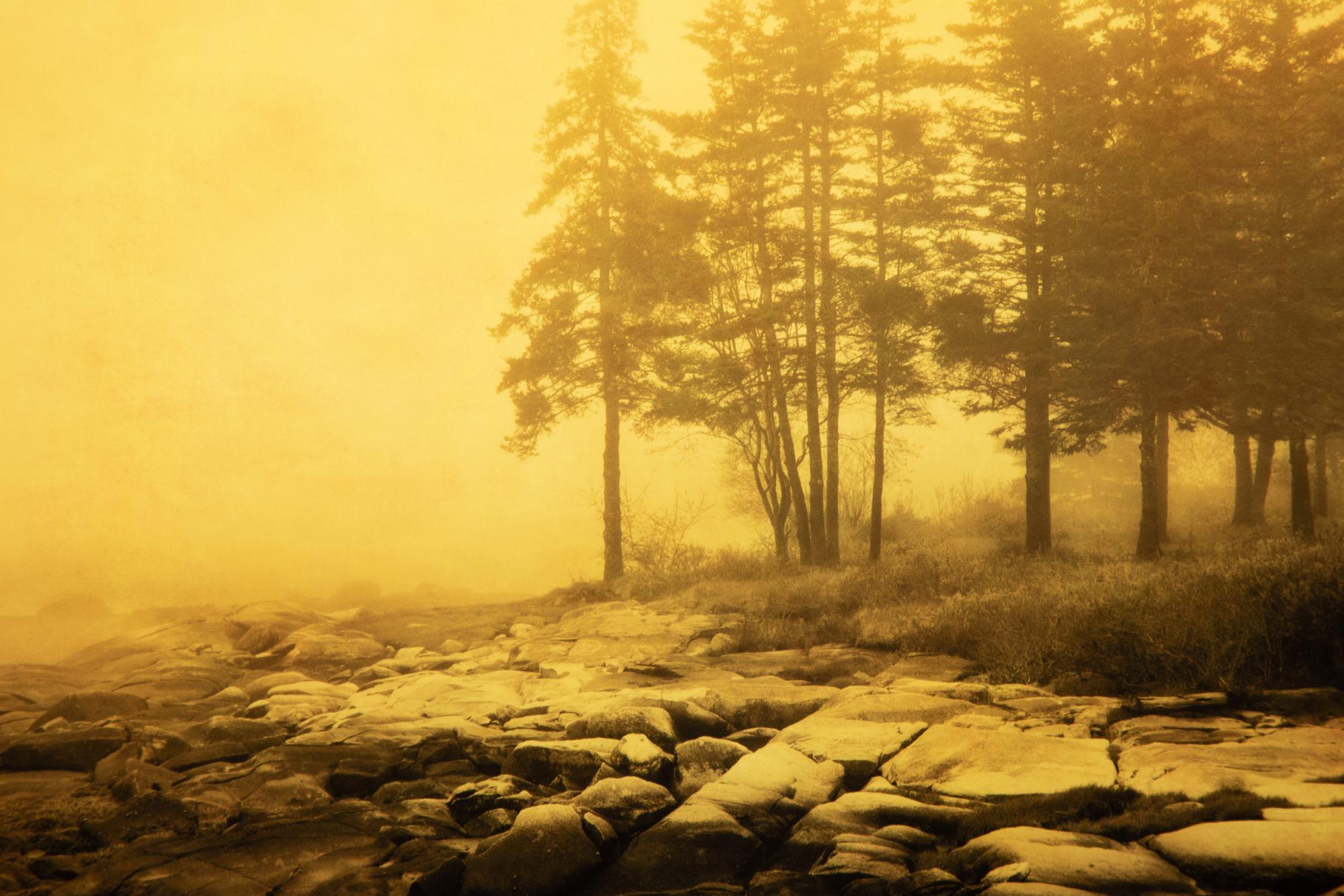 Two Joyce Tenneson Photographs