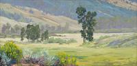 Mountain Meadow