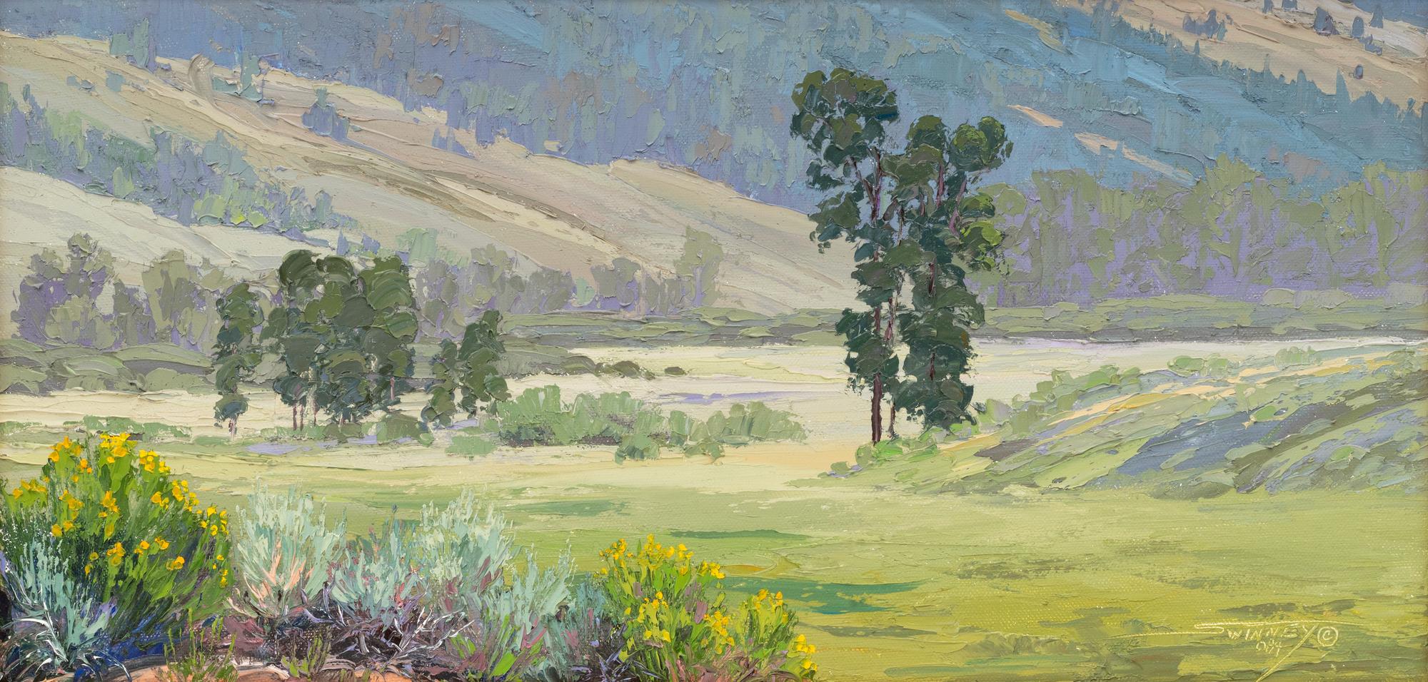 Mountain Meadow