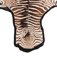 A Taxidermy Zebra Rug