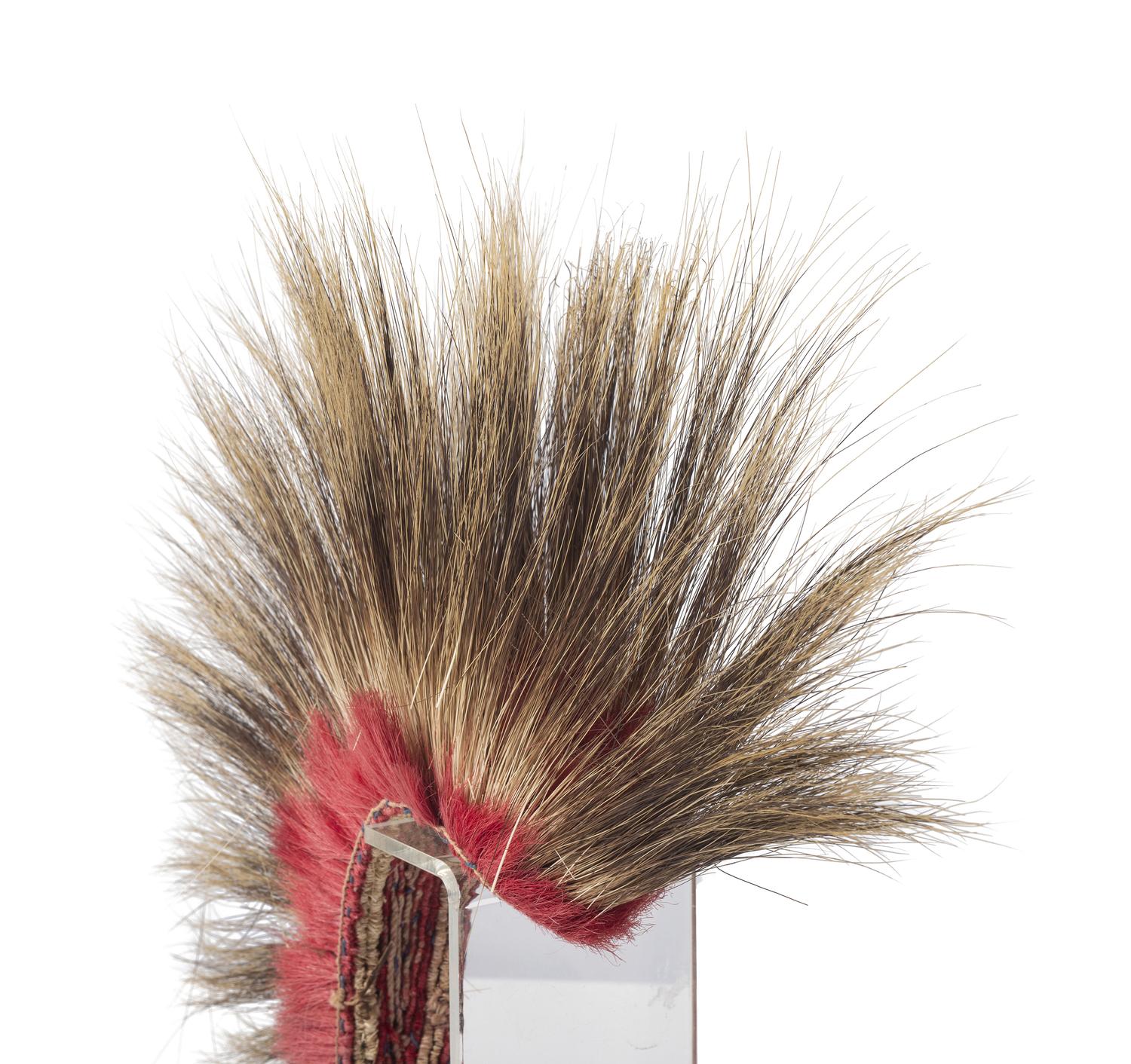 Plains Porcupine Hair Roach