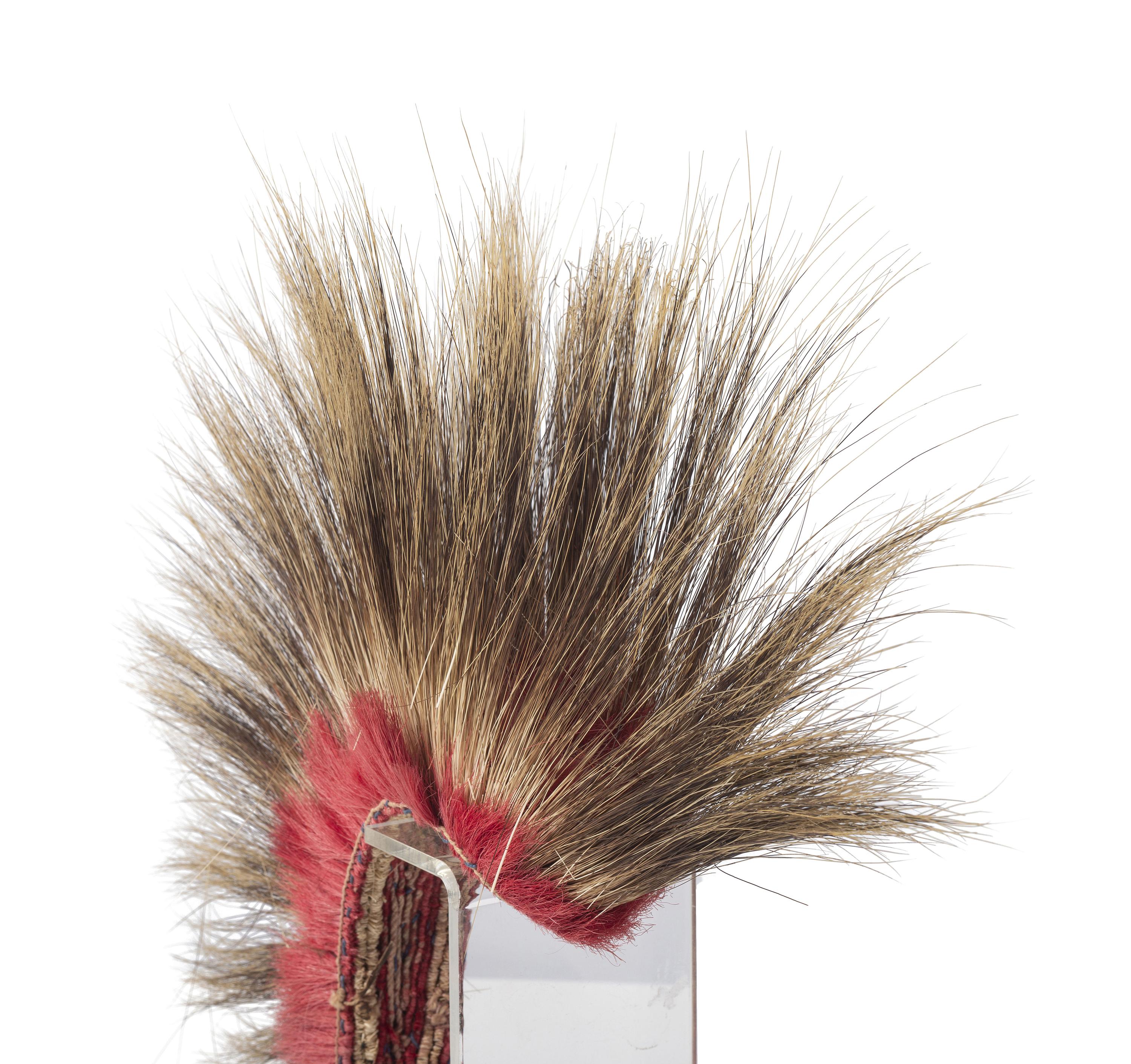 Plains Porcupine Hair Roach