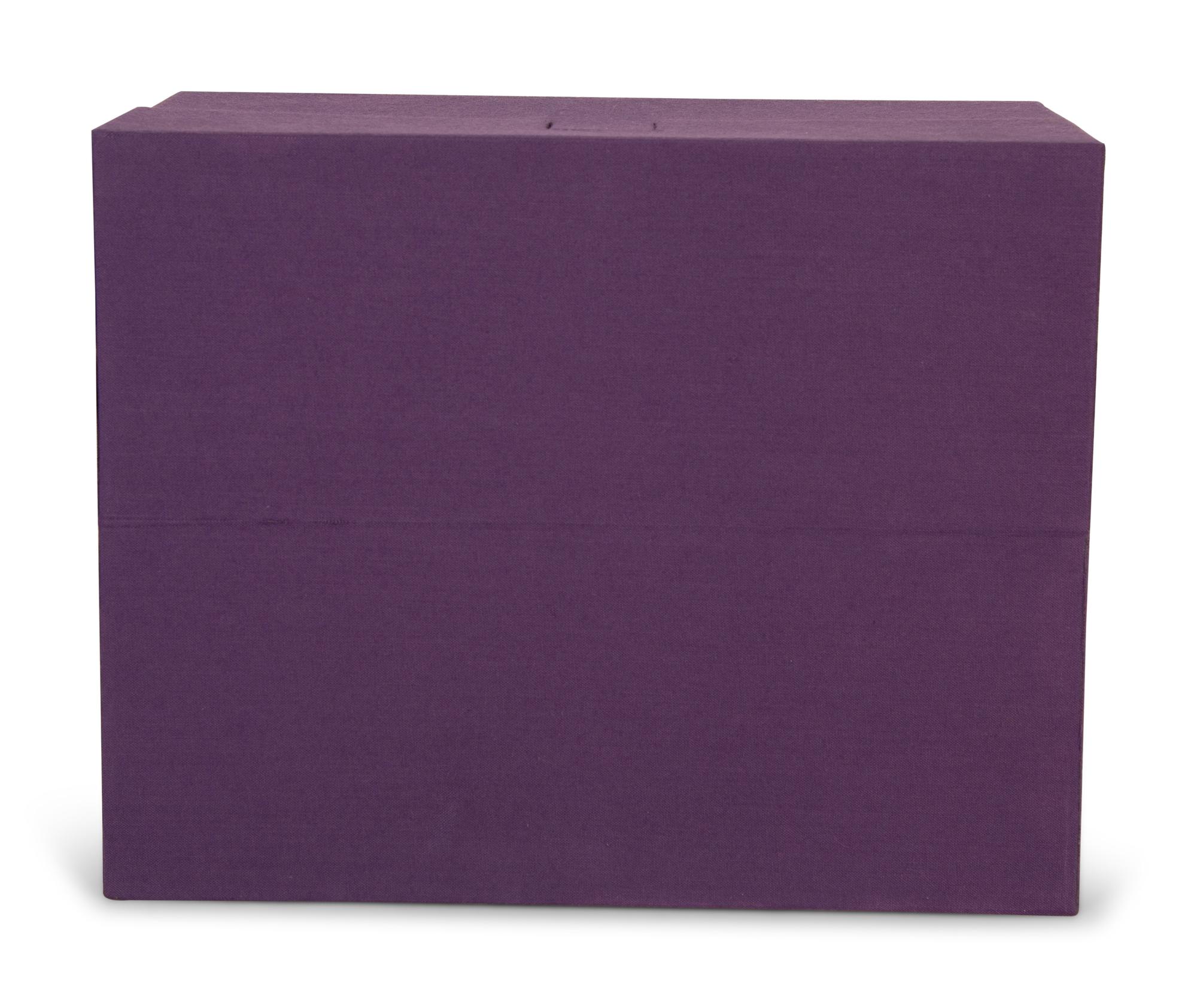 Vissionaire 55, Surprise, Twelve Hardcover Pop-up Books, by Krug — 21st CENTURY