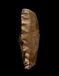 A Paleolithic Flint Core