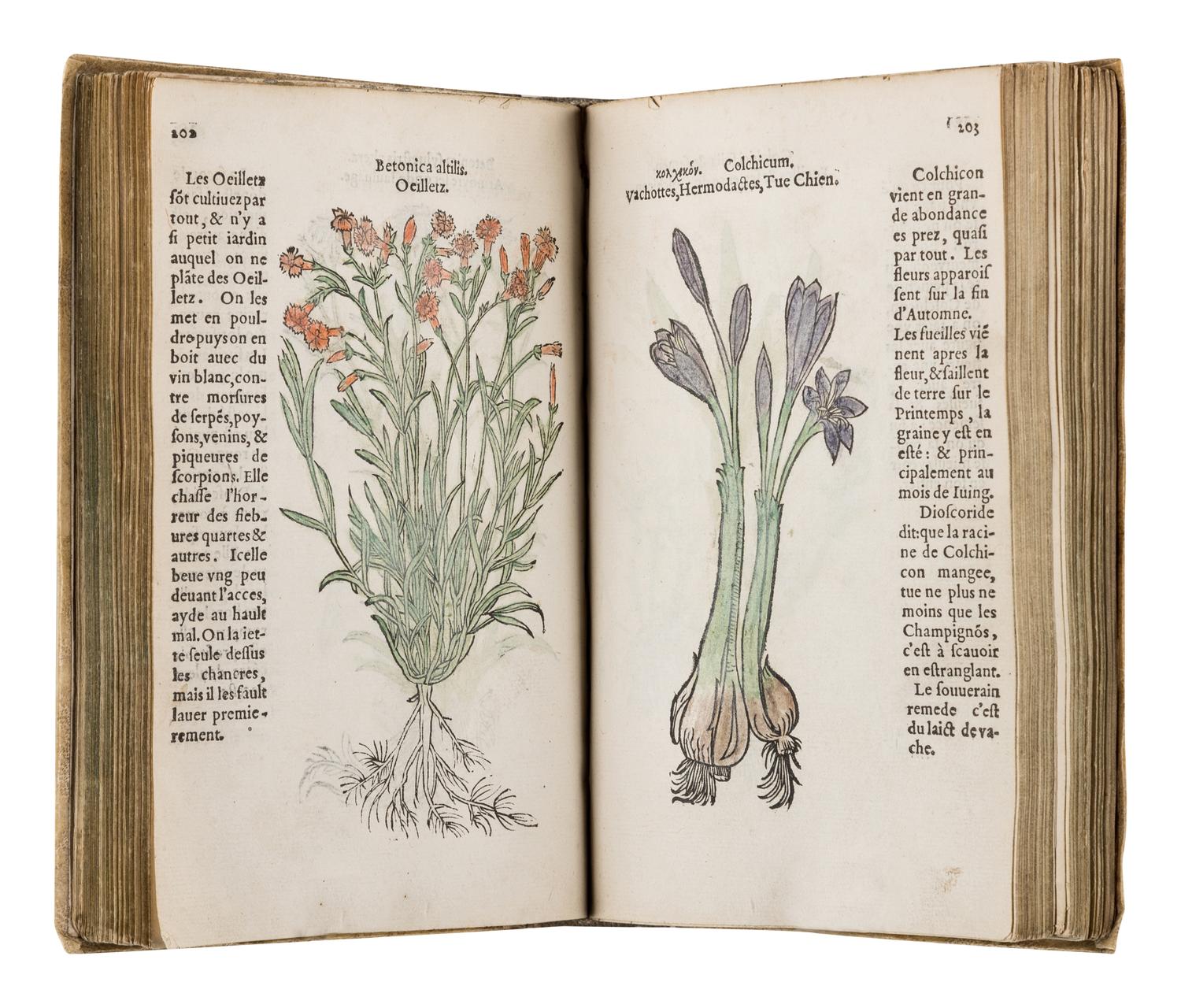 FUCHS, Leonhart (1501-1566). Histoire des Plantes de M. Leonhart Fuschsius, avec les noms Grecs, Latins & Fraçoys . Paris: Arnold Byrkman, 1549.