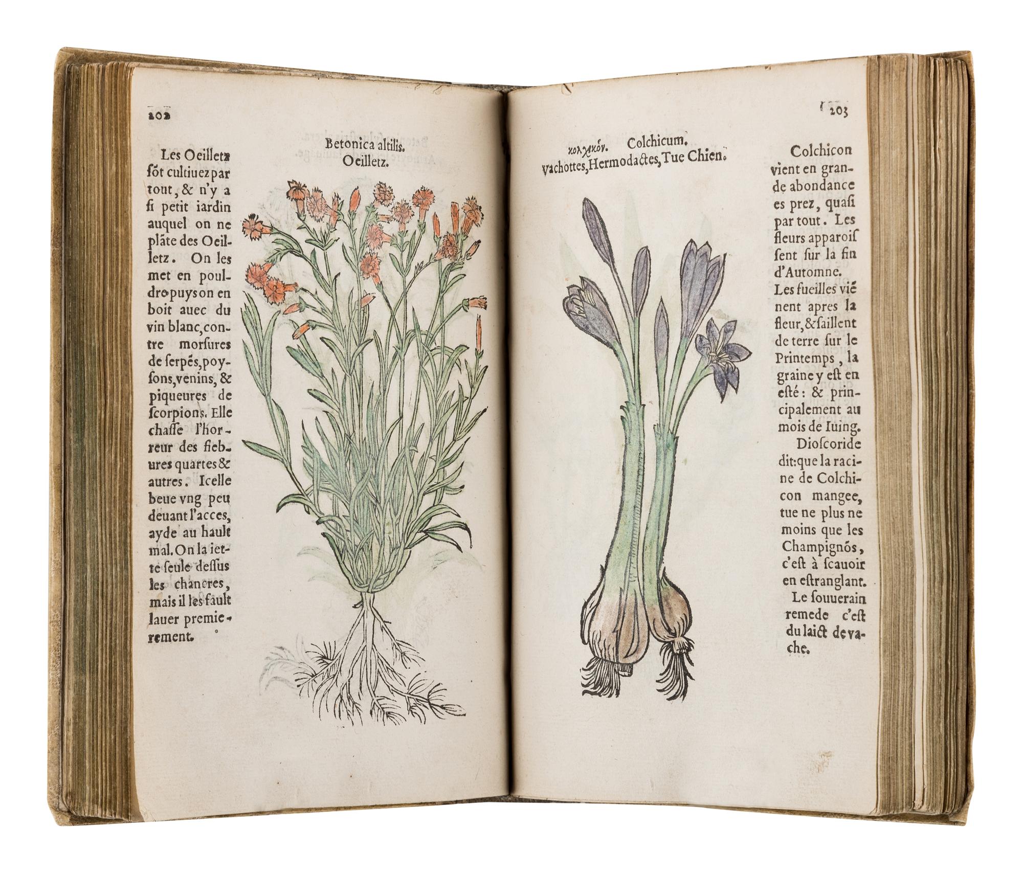 FUCHS, Leonhart (1501-1566). Histoire des Plantes de M. Leonhart Fuschsius, avec les noms Grecs, Latins & Fraçoys . Paris: Arnold Byrkman, 1549.