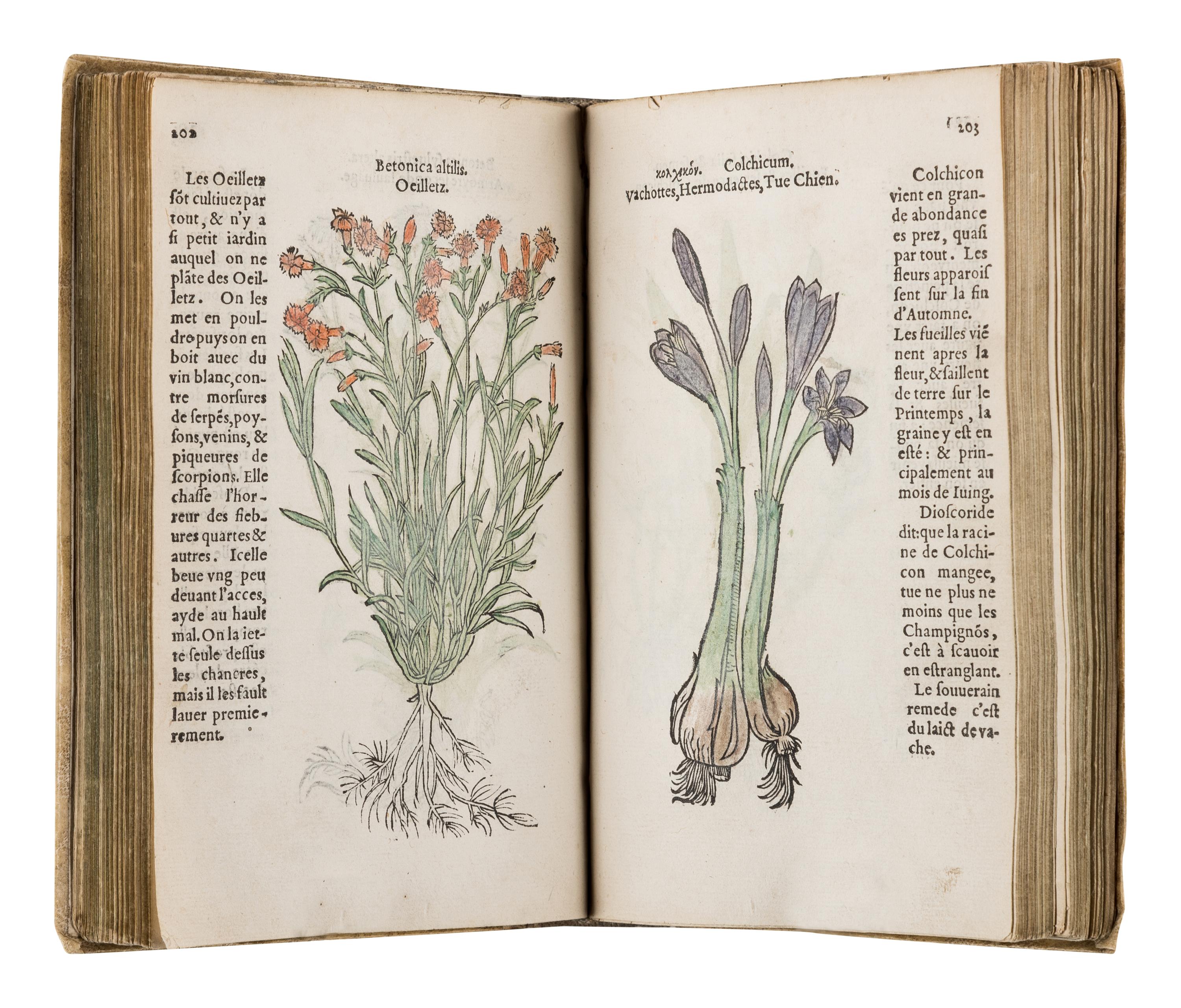 FUCHS, Leonhart (1501-1566). Histoire des Plantes de M. Leonhart Fuschsius, avec les noms Grecs, Latins & Fraçoys . Paris: Arnold Byrkman, 1549.