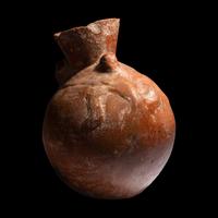 A Chimu Animal Effigy Vessel
