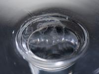 Eleven Baccarat Champagne Coupes