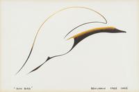 Sun Bird