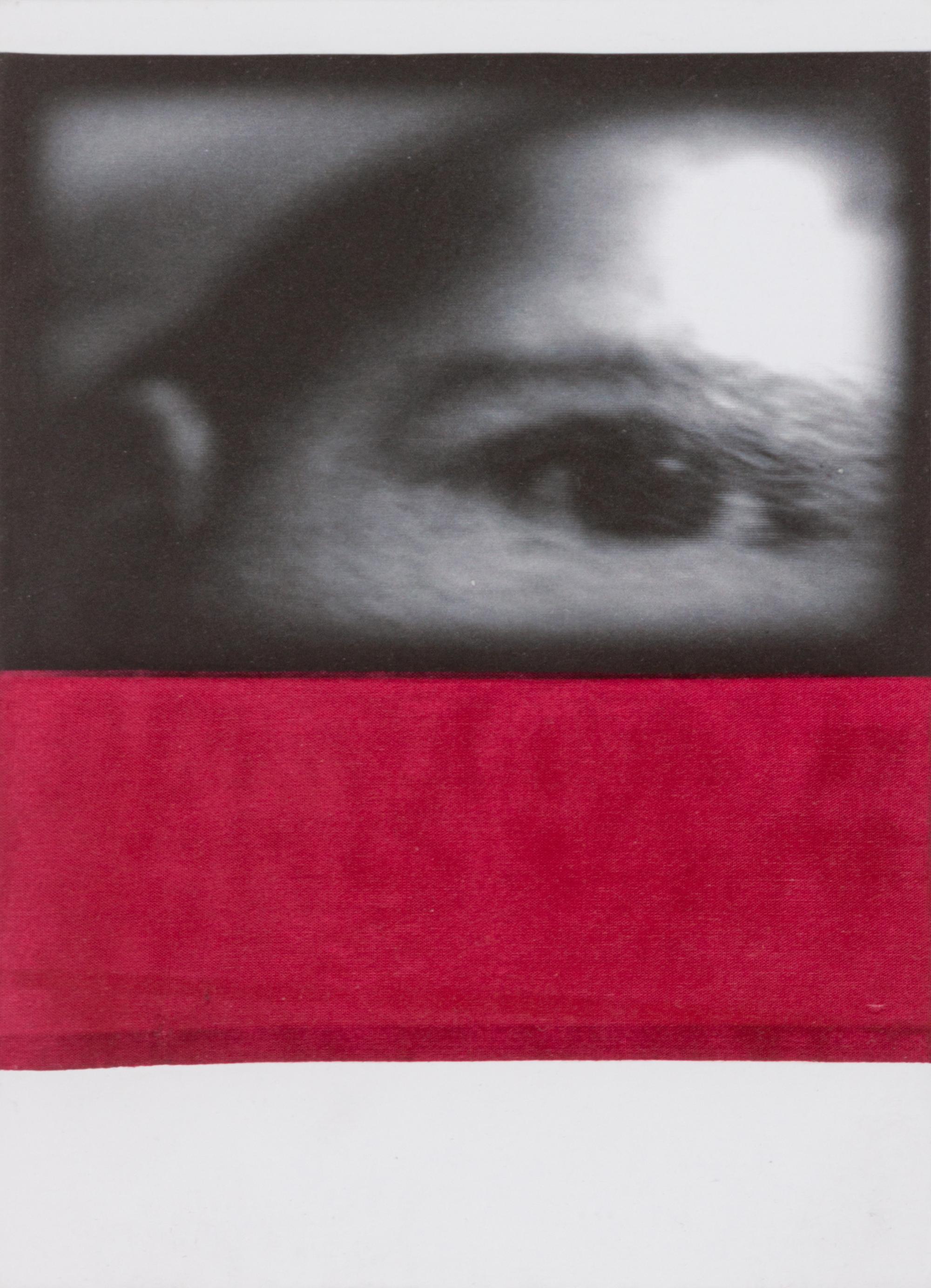 Untitled, 2010 (a pair of works)