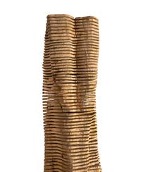 Crack and Warp Column (Birch) , 1999
