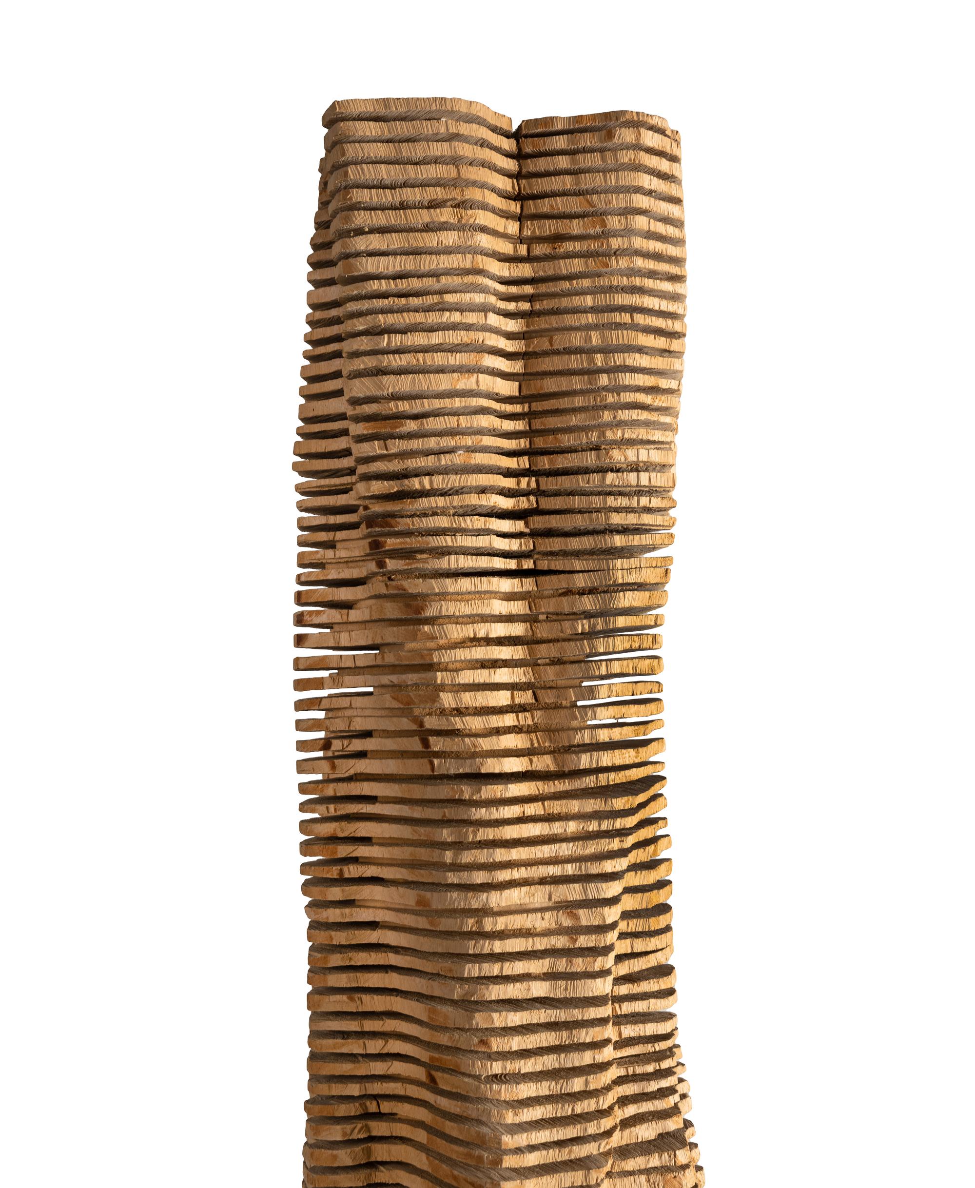 Crack and Warp Column (Birch) , 1999