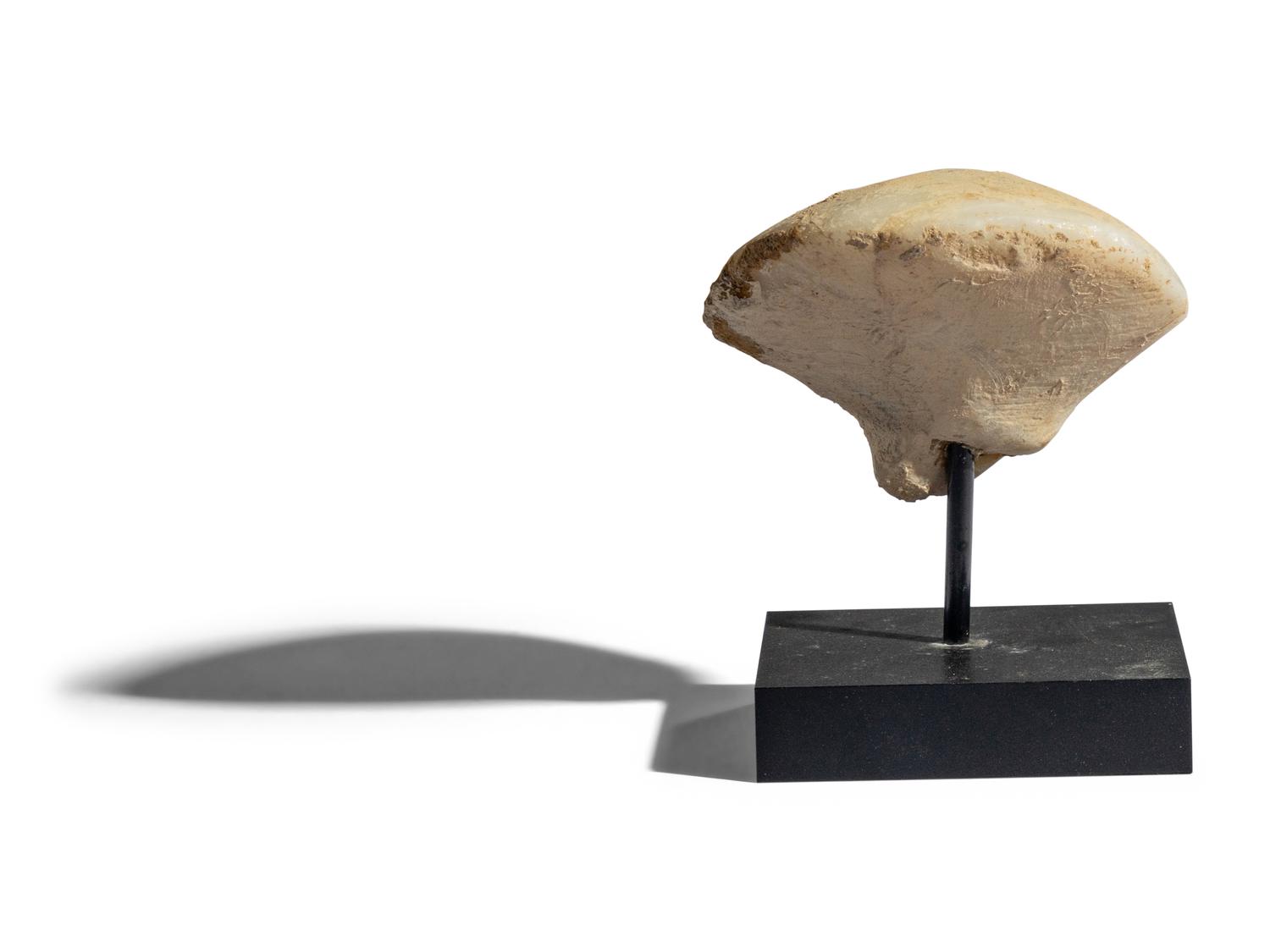 An Anatolian Marble Head