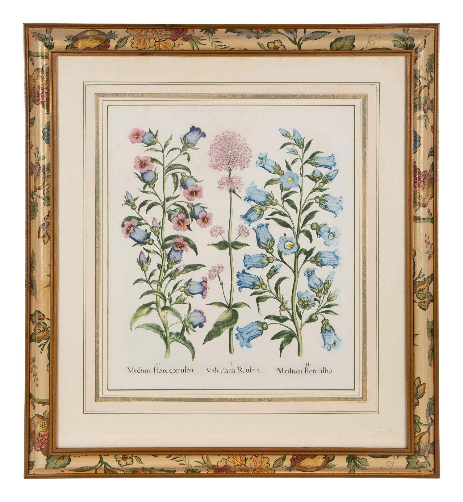 Two Pairs of Botanical Prints — 20TH CENTURY
