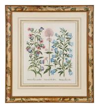 Two Pairs of Botanical Prints — 20TH CENTURY
