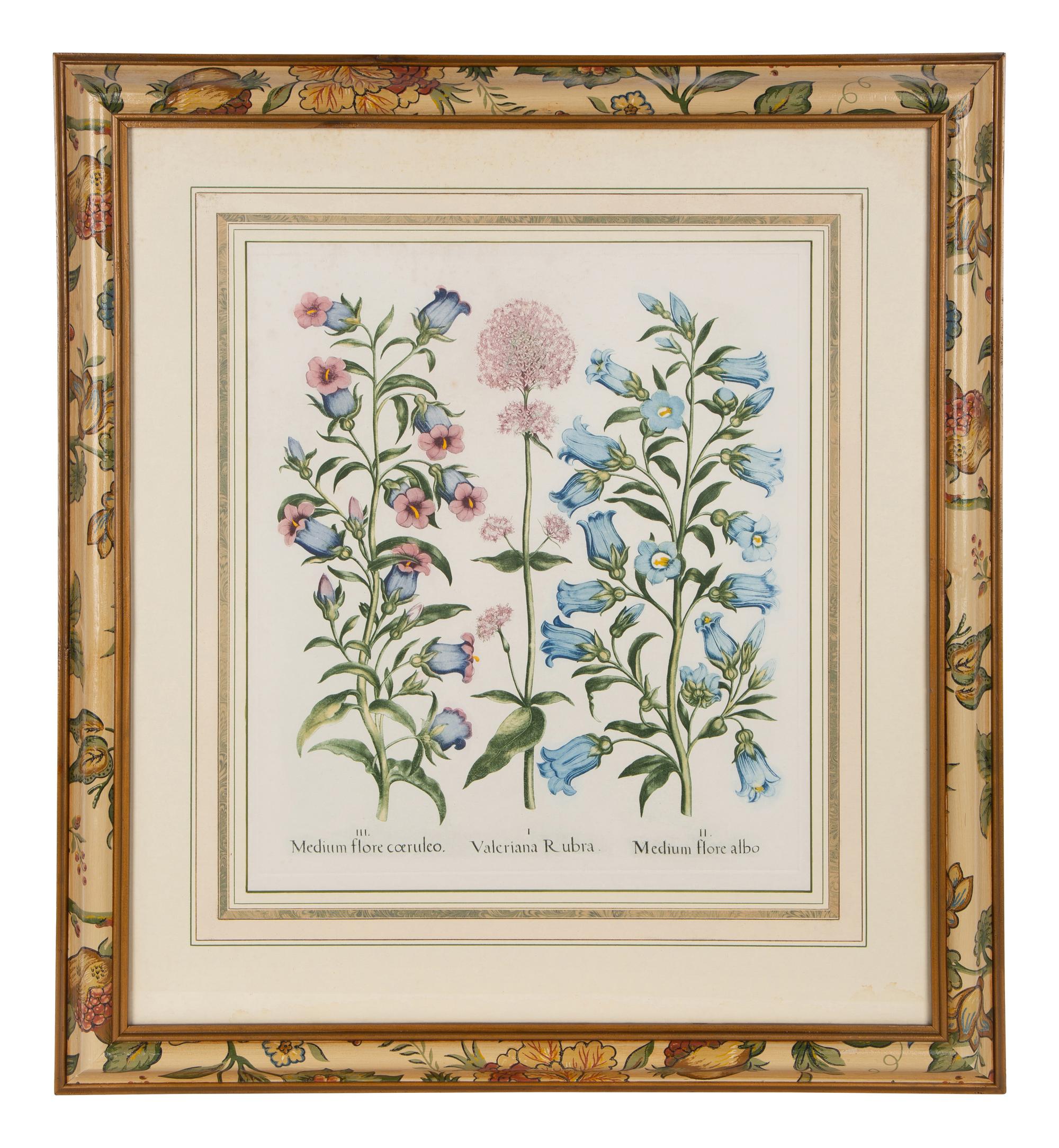 Two Pairs of Botanical Prints — 20TH CENTURY